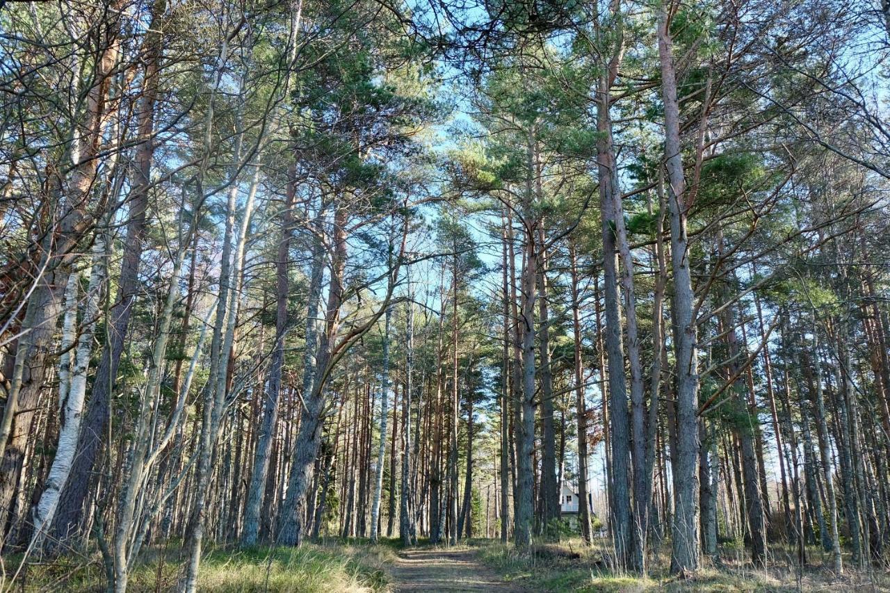 Tahkuna Puhkekeskus Hiiumaa 외부 사진